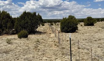 17 County Road N8034, Concho, AZ 85924