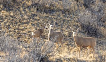 TBD Iron Mountain Rd, Chugwater, WY 82210