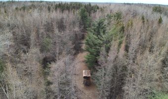 5280 Cathro Rd, Alpena, MI 49707