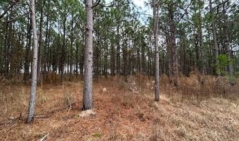 1396 American Legion Rd, Abbeville, GA 31001