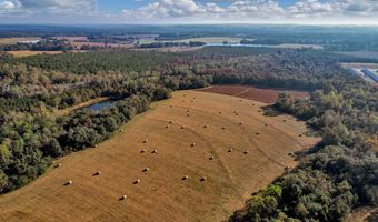 0 County Road 127, Banks, AL 36005