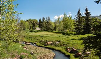 74 Pfister Dr 101, Aspen, CO 81611