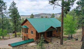 1043 Deer Ridge Dr, Bayfield, CO 81122
