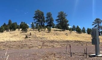 6 County Road 2331, Alpine, AZ 85920