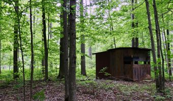V/L Roseburgh, Alger, MI 48610