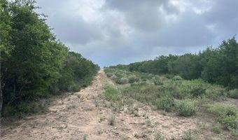 0000 County Road 173, San Diego, TX 78332