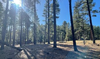 Lot E County Road N2147, Alpine, AZ 85920