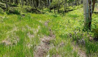Lot 148 Brazos Dr, Angel Fire, NM 87710