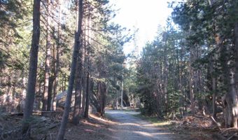 175 Silver Tip Dr, Bear Valley, CA 95223