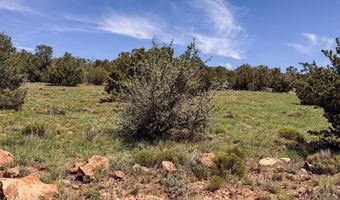 79 Co Rd, Concho, AZ 85924
