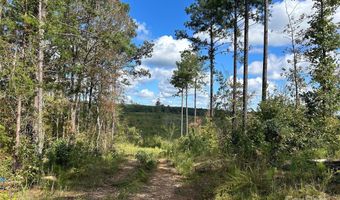 60 Ac Shannon Rd, Blackstock, SC 29014