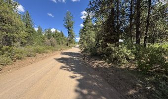 Grizzly Lane 9, Bonanza, OR 97623