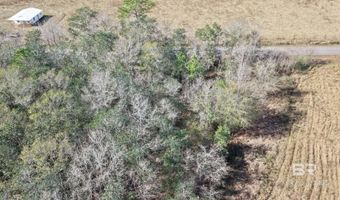 Virginia Drive, Atmore, AL 36502