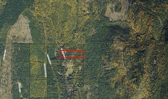 1094 Fortyniner Ln, Bonners Ferry, ID 83805