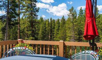 463 Blue Flag Cir, Breckenridge, CO 80424