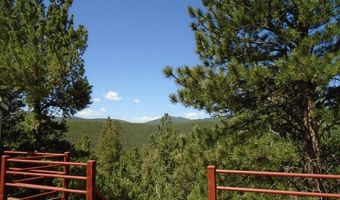 383 Evergreen Rd, Black Hawk, CO 80422