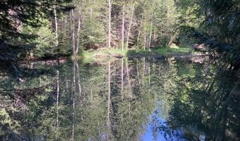1029 Sun Valley Dr, Careywood, ID 83809