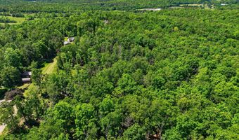County Road 101, Alton, MO 65606