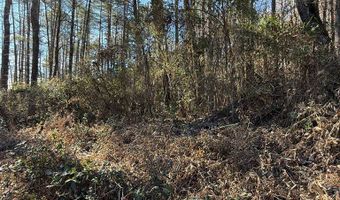 00 Airport Rd, Andrews, NC 28901