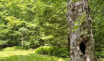 253 Davis Hollow Rd, Andes, NY 13731