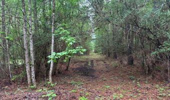 2780 Jackson Liberty Rd, Bogue Chitto, MS 39629