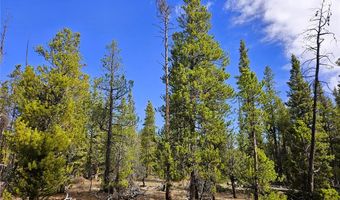 PCS # 7765 & 12057 Rollies Trail lot 0, Alma, CO 80420