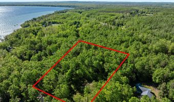 9707 ROGERS Rd, Alanson, MI 49706