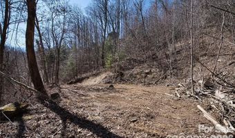 99999 Green Ridge Falls Rd 17, Barnardsville, NC 28709