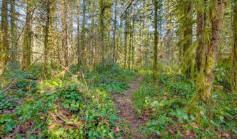 64281 E BRIGHTWOOD LOOP Rd, Brightwood, OR 97011