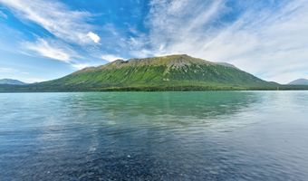 33983 Williams Rd, Cooper Landing, AK 99572