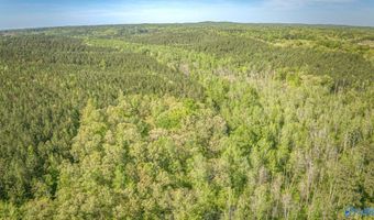 87 Acres Kay Hollis Rd, Beaverton, AL 35544
