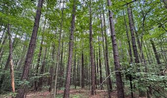 Holiday Lake Road, Appomattox, VA 24522