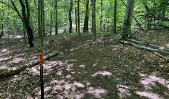 002 Maxey Rd, Arcadia, MI 49613