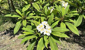 KAOHE RD, Captain Cook, HI 96704