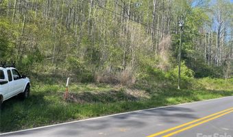 99999 Martins Creek Rd, Barnardsville, NC 28709