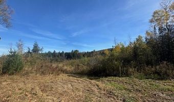 339 Kingdom Rd, Albany, VT 05845