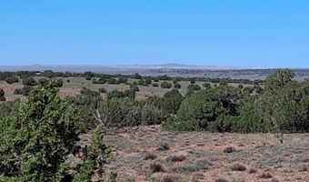 268 N 5380, Concho, AZ 85924