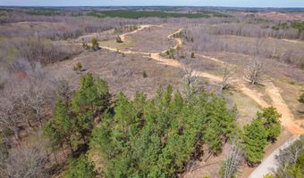 Vista Lane, Bethel Springs, TN 38315