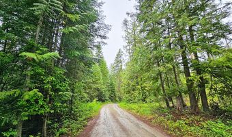 1895 TBD BLUE CREEK ROAD Rd, Addy, WA 99101