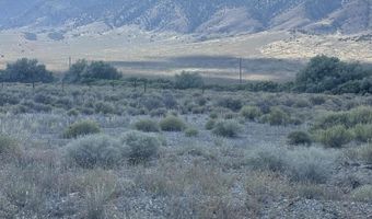 209 Los Padres Rd, Austin, NV 89310