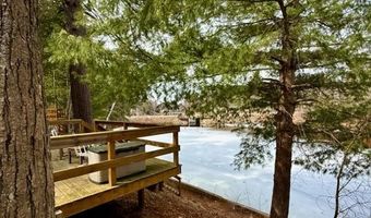 4527 River Lane St, Alger, MI 48610