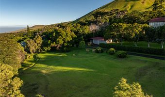 65-1307 HOKULANI Pl, Kamuela, HI 96743