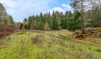 Upper Cow Creek Road, Azalea, OR 97410