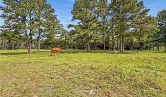 6779 County Road 215, Anderson, TX 77830