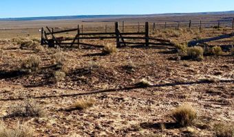 N7009 40 Acres, Chambers, AZ 86502
