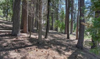 1934 Almaden Dr, Arnold, CA 95223