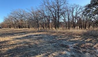 1190 N State HWY 220, Hico, TX 76457