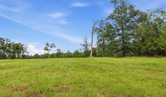 115355 115353 CR 2501, Alto, TX 75925
