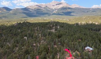 761 Cabin Creek Rd, Allenspark, CO 80510