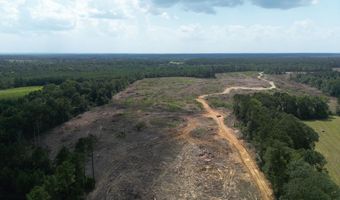 SE Cole Drive, Bogue Chitto, MS 39629